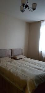 Cozy Hotel in Bakuriani