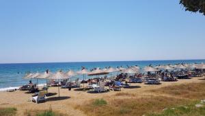 Long Beach İskele Royal Sun