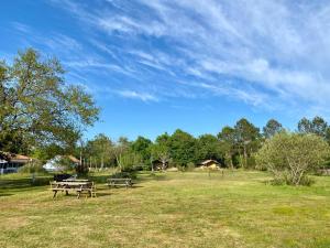 Campings Camping la Kahute - Tente tipi au coeur de la foret : Tente