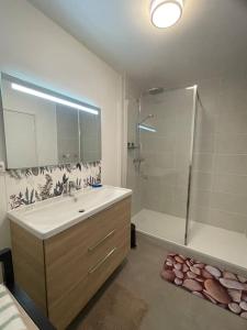 Appartements Appartement spacieux Brest Bellevue de 1 a 6 personnes : photos des chambres