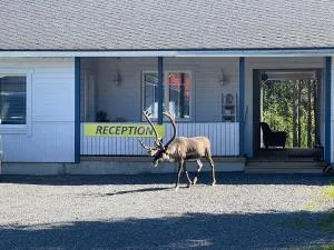 Scandinavian Dream Cottages Vikajarvi- Rovaniemi - Tiainen