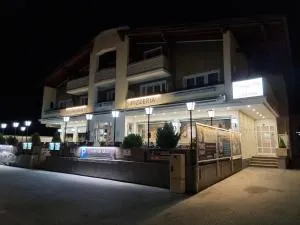 霍夫海明格酒店 - 锡尔茨