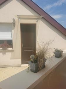 Appartements Studio spacieux, route des vins : photos des chambres