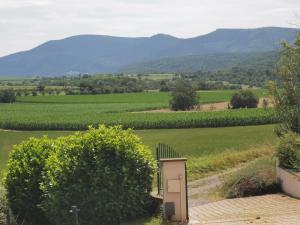 Studio spacieux, route des vins