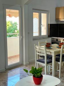 Vibrant & Central Tirana Oasis