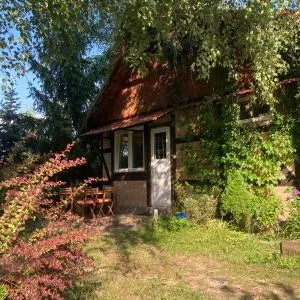 Letnia Oficyna - Łosiny