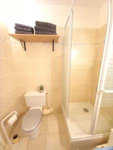 Appartements Charmant Studio Le Lioran - Tour Sumene : photos des chambres
