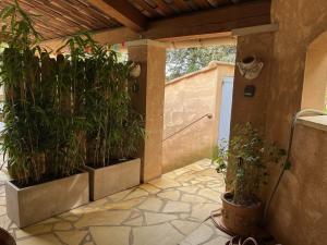 Sejours chez l'habitant Logement independant Au Bonheur cuisine piscine clim proche centre village #dentelles Montmirrail : photos des chambres