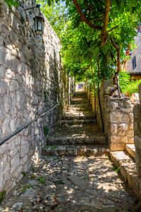 Vintage house Kolocep