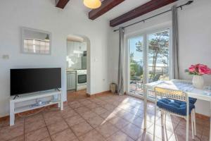 Apartments in Novi Vinodolski 45270