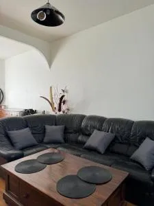 Maison individuelle avec jardin - 塞夫朗