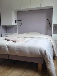 Maisons de vacances Rode Huis : photos des chambres