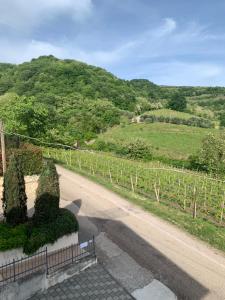 Residenza Viti del Durello Locazione turistica