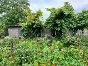 Old Farm - Nor Bashgyukh