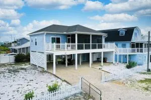 Sunny Paws - Cape San Blas