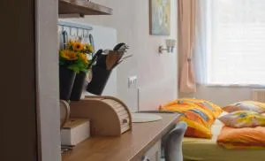 Apartmán U dvou slunečnic - Dluhoště