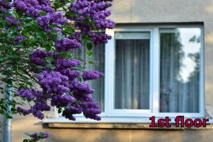 Sunset lovers apartment