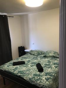 Appartements Le gite 3 - Le Chateau du Lichtenberg : photos des chambres