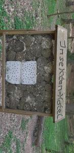 Ferienhaus Diedrichsen