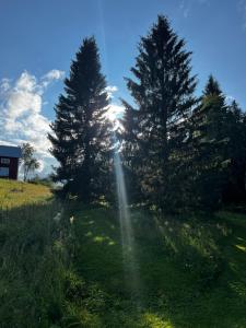 Liten sovstuga nära till sjö