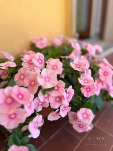 The Crown Rooms img15