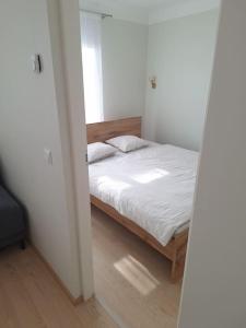 Cozy apartament near bus station