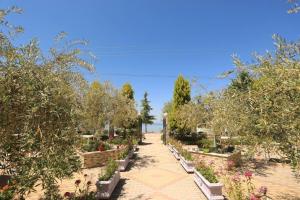 VIP House Tushemisht