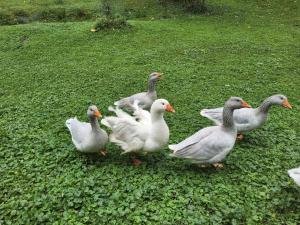 Ferienwohnung Am Neetzetal