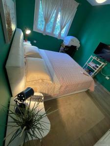 Colors by the Sea at Lalzi Bay