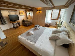 Camera Zâmbru - CĂTUN