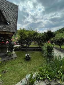 Camera Zâmbru - CĂTUN