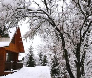 Pokoje Gościnne Aga