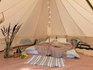 Järveääre Glämping