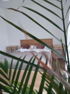 Appartement near the sea