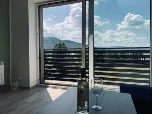 Beskid Rest Apartments - 文盖尔斯卡－古尔卡