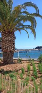 Appartements Appart F3 a 150 M de la plage avec parking prive : photos des chambres