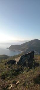 Appartements Appart F3 a 150 M de la plage avec parking prive : photos des chambres