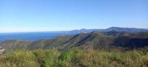 Appartements Appart F3 a 150 M de la plage avec parking prive : photos des chambres