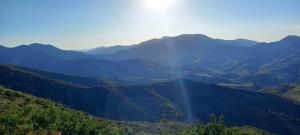 Appartements Appart F3 a 150 M de la plage avec parking prive : photos des chambres