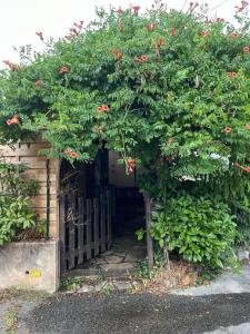 Maisons de vacances Charmante maison provencale : photos des chambres