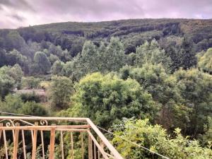 Appartements Agreable maison au centre de La Salvetat sur Agout : photos des chambres