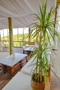 Panoramic Paradise Estate - Sauna & Pool