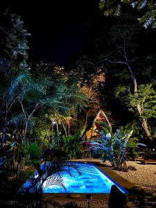 Cabinas de Lou Eco Lodge TAMARINDO