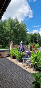 Namas su pirtimi Trakai