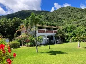 South Sea Ishigaki - Fukai