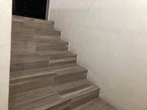 el balcón de los leones