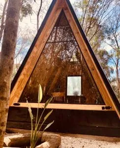 Forest Glam - Azcuénaga