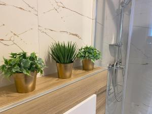 Apartamenty W NIEBIE