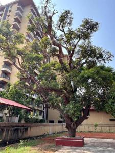 Heritage Home in Padubidri