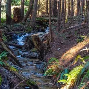 Forest Haven Hideaway - Gibsons